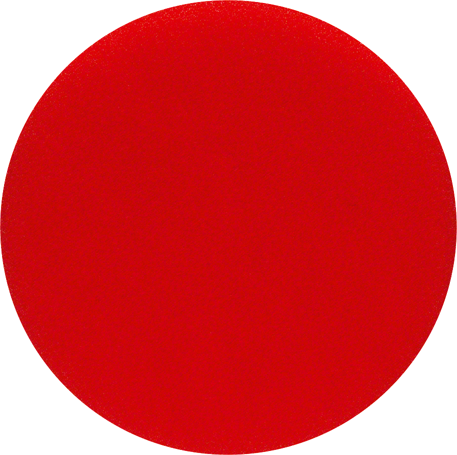 Bosch Polierschwamm Klett für Exzenterschleifer 130 mm (2608613005)