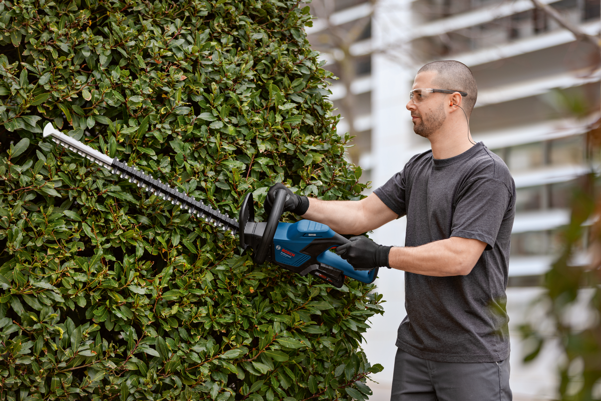Bosch Professional GHE 18V-60 Akku-Heckenschere bürstenlos 60 cm Schwert ohne Akku/Lader im Karton