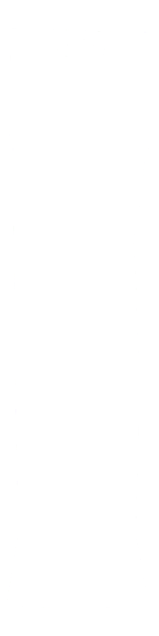 Bosch Staubabsaugung für GOP 300 SCE (2608190056)