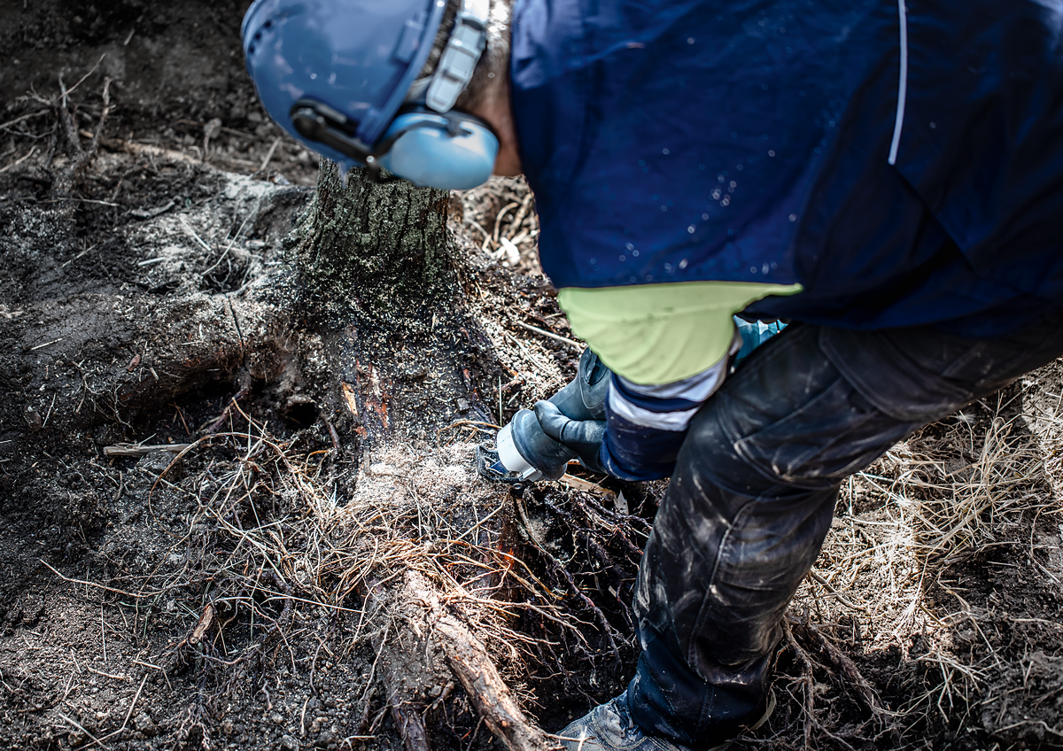 Bosch Expert Säbelsägeblatt S 1142 KHM Tough Wood 225 mm lang für zähes Bauholz