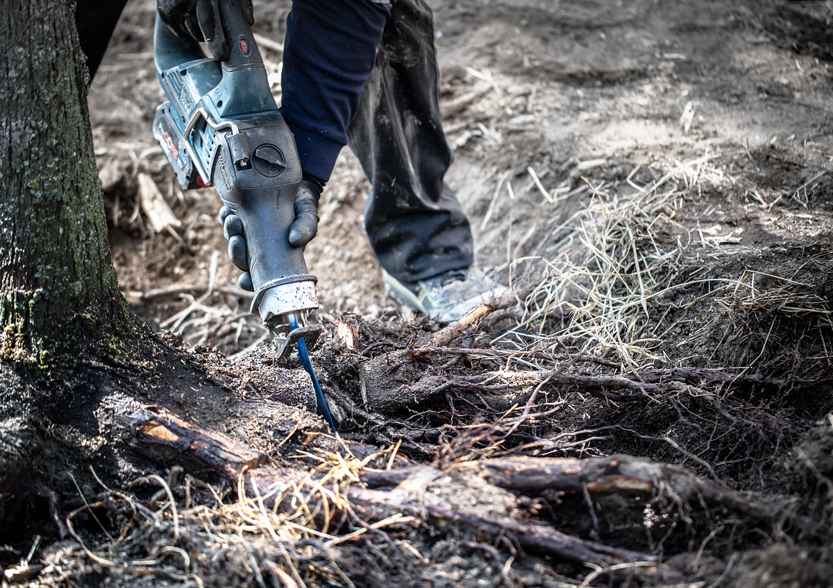 Bosch Expert Säbelsägeblatt S 1242 KHM Tough Wood ideal für zähes Holz