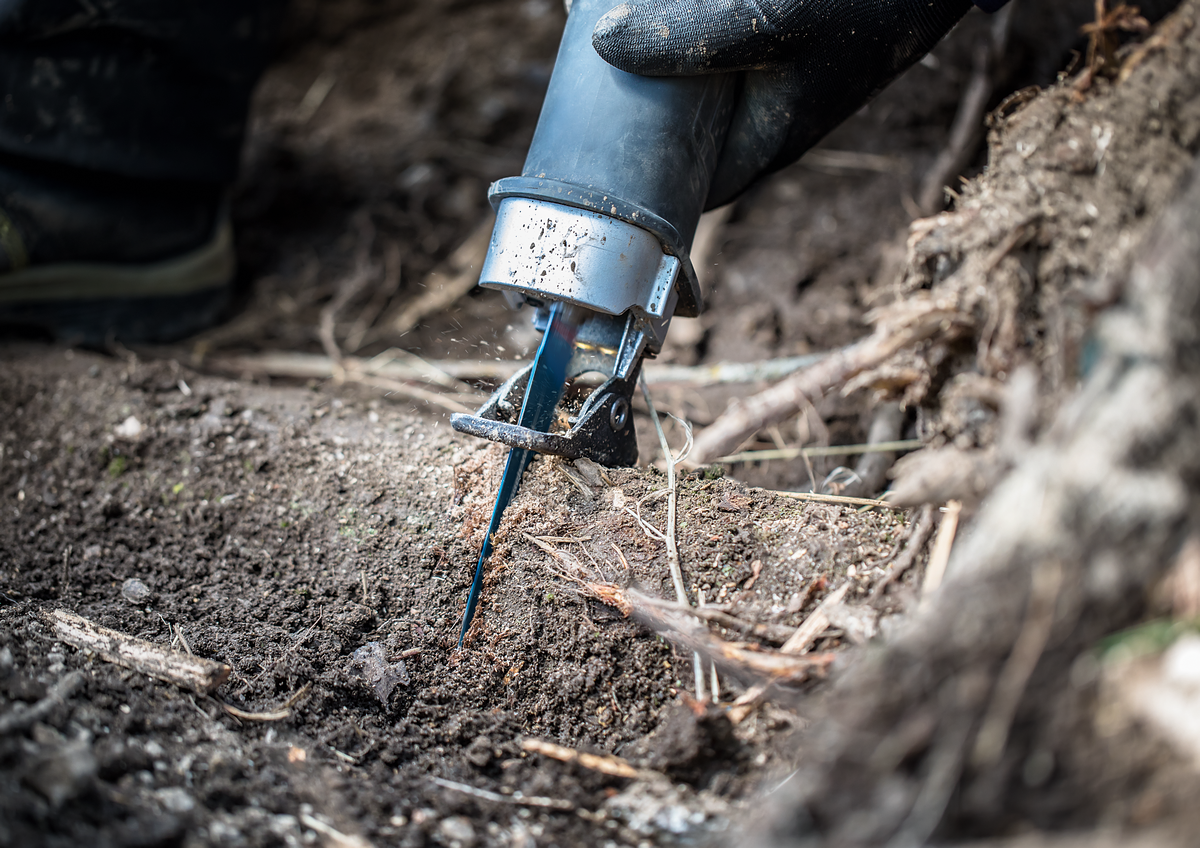 Bosch Expert Säbelsägeblatt S 1242 KHM Tough Wood ideal für zähes Holz