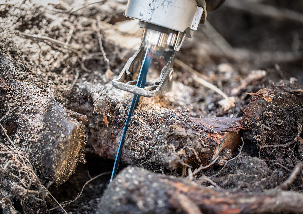 Bosch Expert Säbelsägeblatt S 1242 KHM Tough Wood ideal für zähes Holz