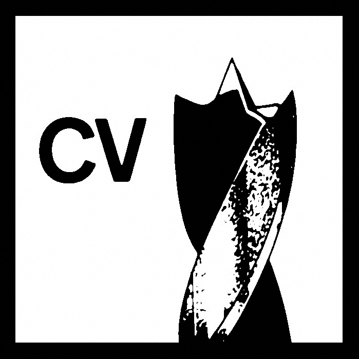 Bosch Holzspiralbohrer Ø 3 - 30 mm