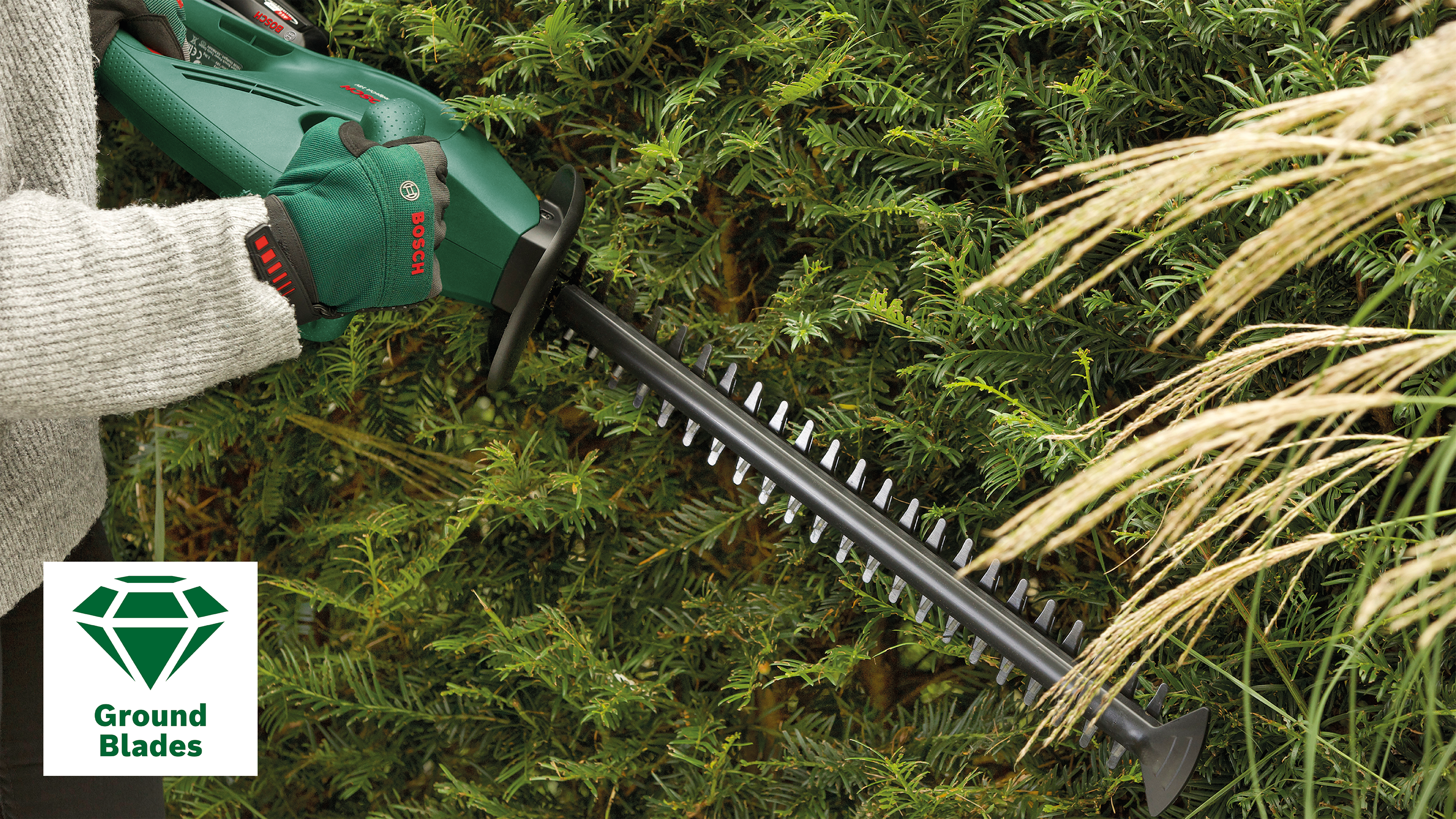 Bosch DIY Akku-Strauch- und Grasscheren-Set Isio 3.6 V mit Akku/Lader und Zubehör