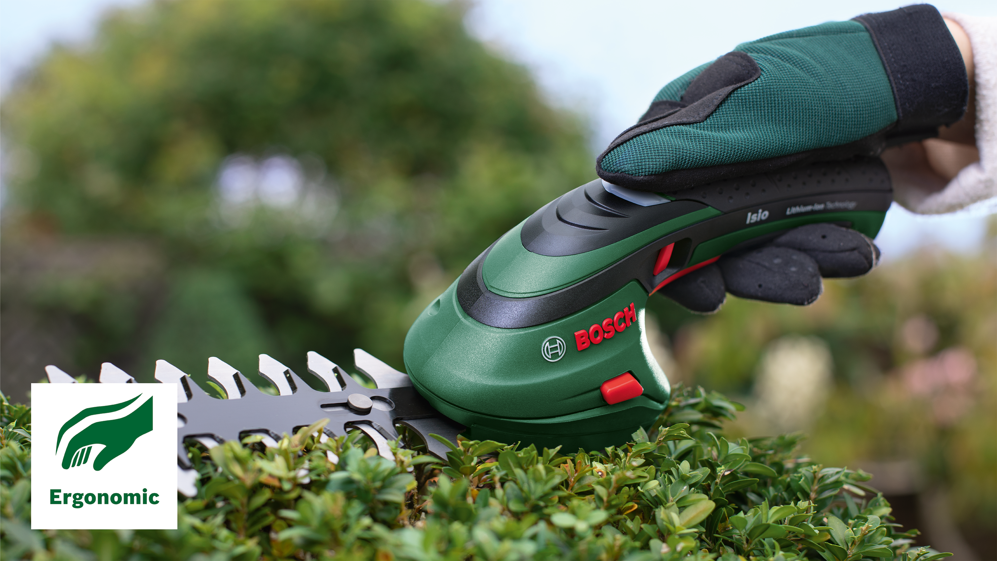 Bosch DIY Akku-Strauch- und Grasscheren-Set Isio 3.6 V mit Akku/Lader und Zubehör