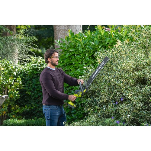RYOBI RSG01 Schutzbrille fuer Gartenarbeit (5132005351)