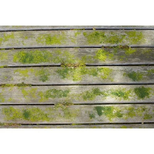 RYOBI RY18PCB-0 Akku-Oberflaechenreiniger mit Universalbuerste vorher (5133004729)