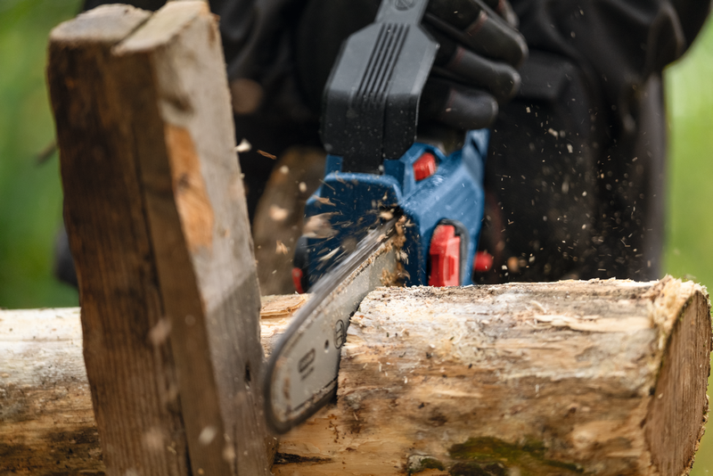 Bosch Professional GKE 18V-20 Akku-Astsaege 20 cm buerstenlos (06008d7100)